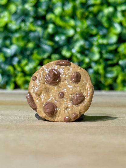 Whimsical Hand-Made Art Magnets Chocolate Chip Cookie