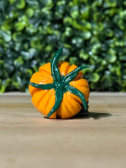 Whimsical Hand-Made Art Magnets Heirloom Tomato Orange