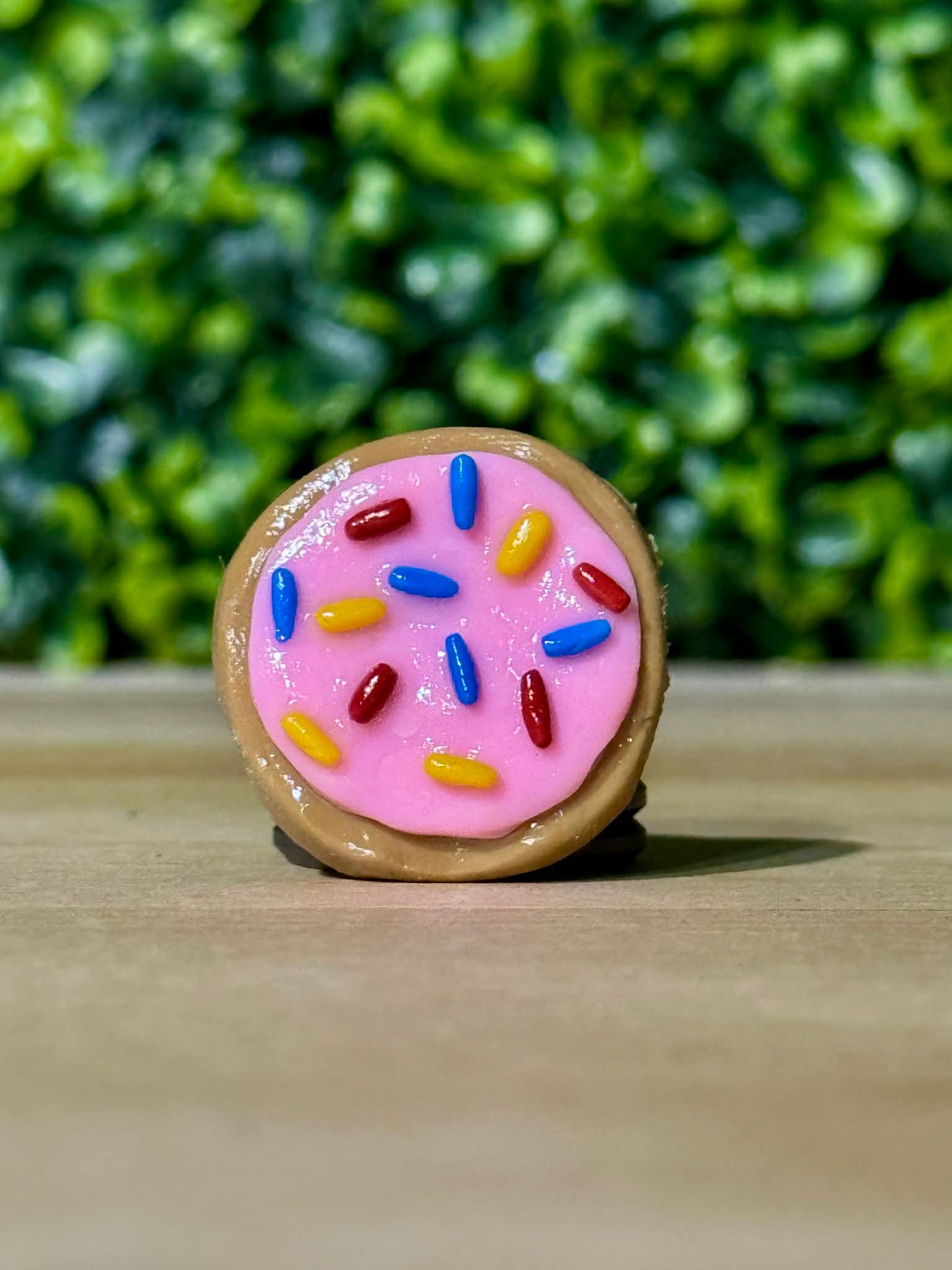 Whimsical Hand-Made Art Magnets Sugar Cookie